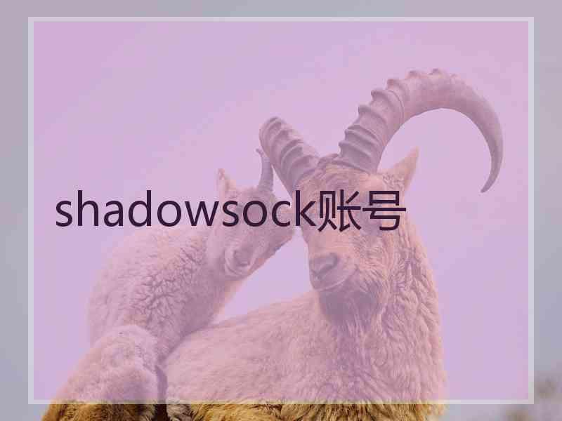 shadowsock账号