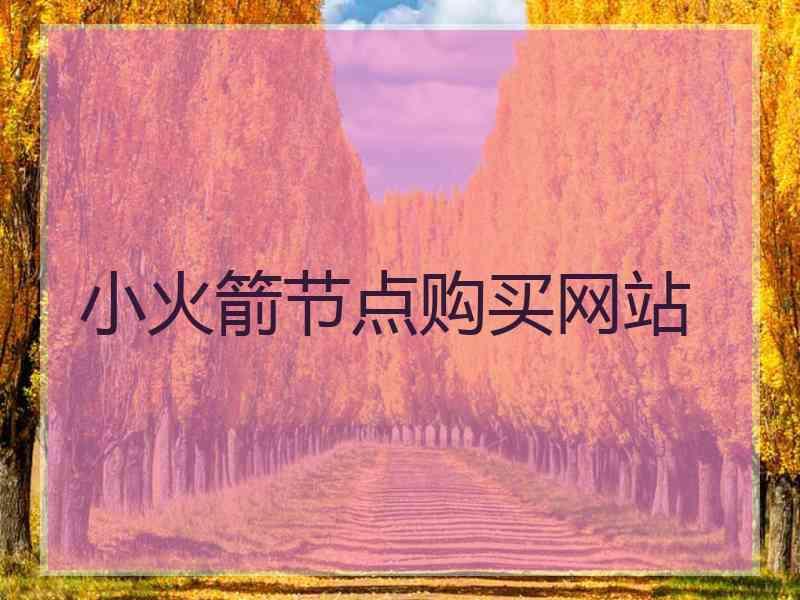 小火箭节点购买网站