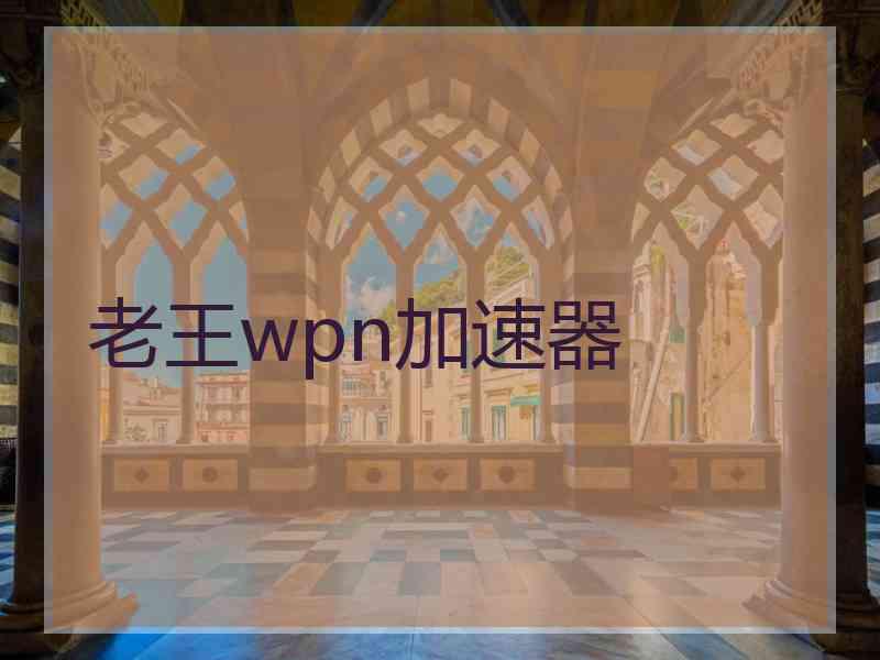 老王wpn加速器