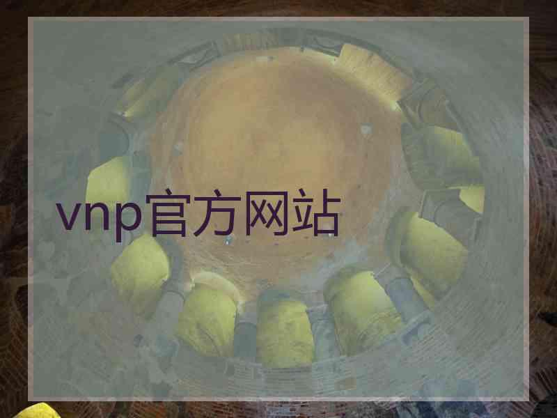 vnp官方网站