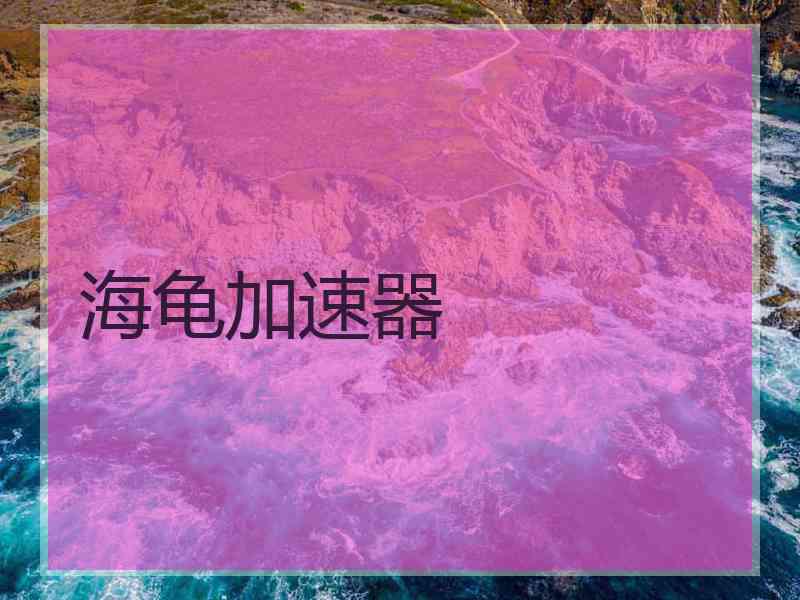 海龟加速器