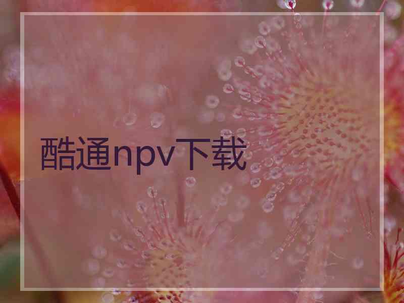 酷通npv下载