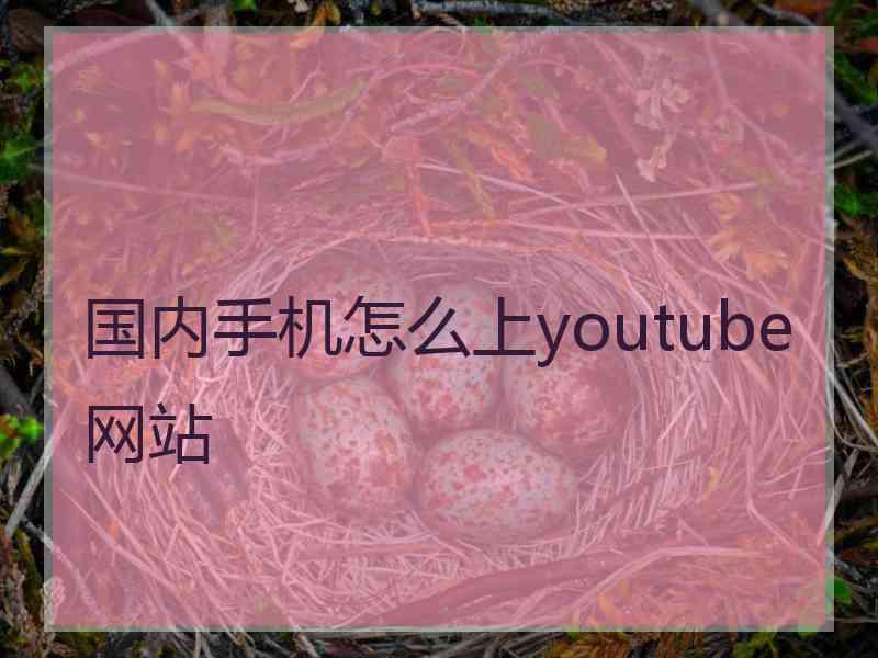 国内手机怎么上youtube网站