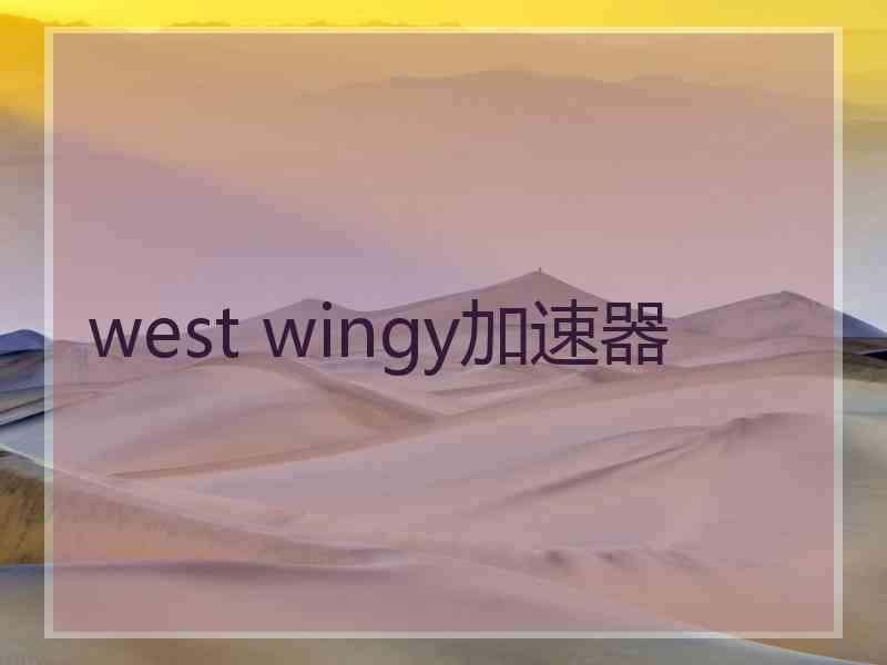 west wingy加速器