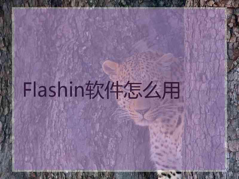 Flashin软件怎么用