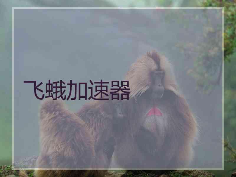 飞蛾加速器