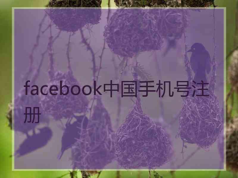 facebook中国手机号注册