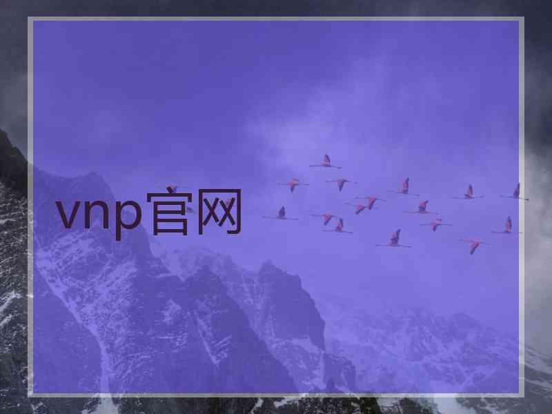 vnp官网