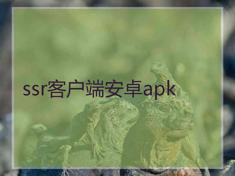 ssr客户端安卓apk