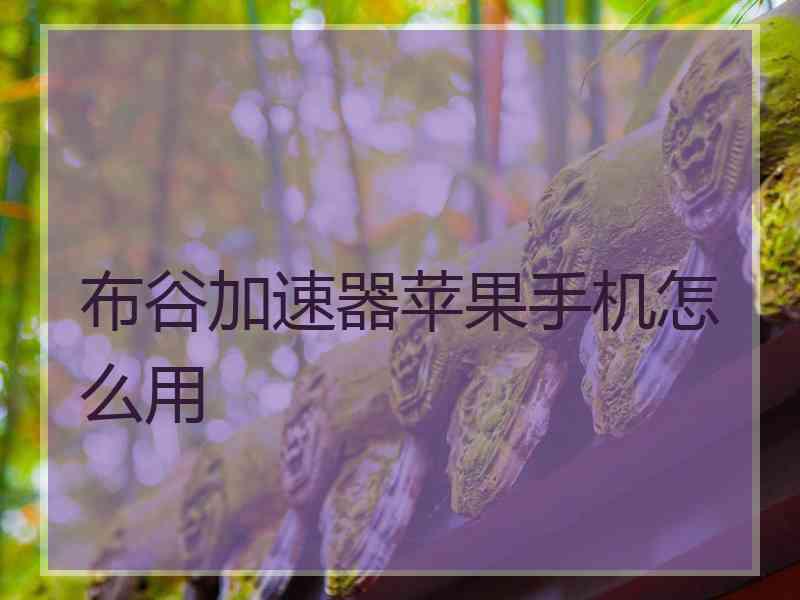 布谷加速器苹果手机怎么用