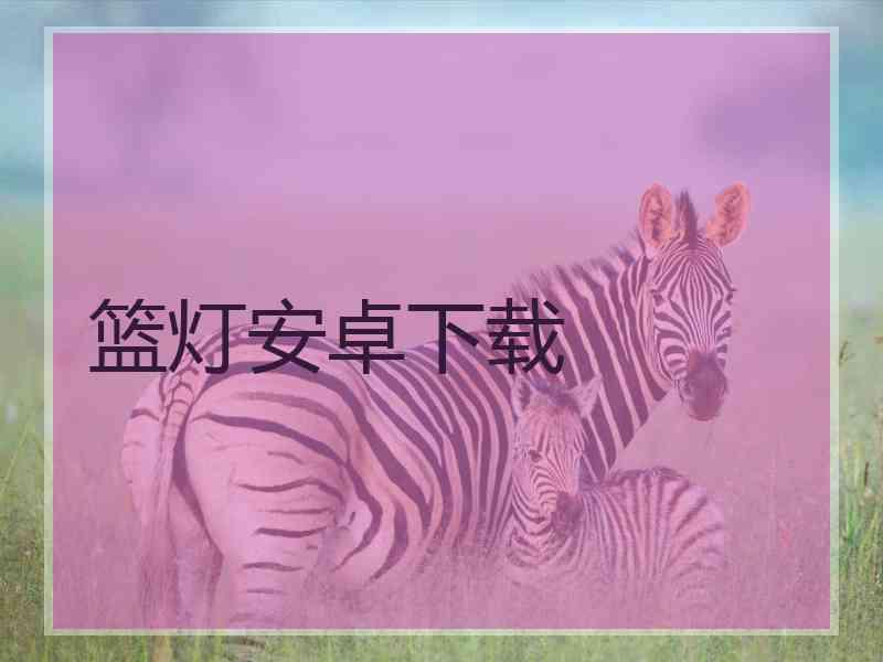 篮灯安卓下载