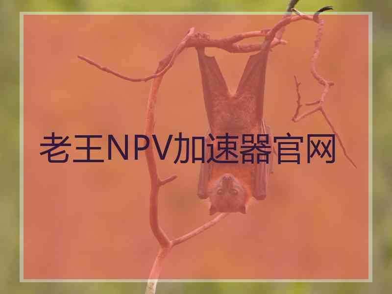 老王NPV加速器官网