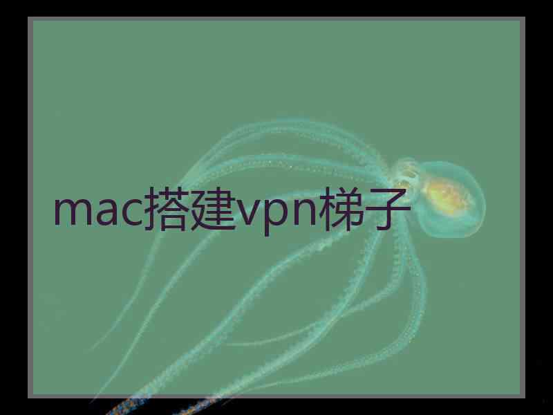 mac搭建vpn梯子