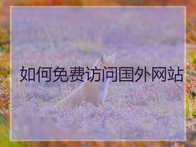 如何免费访问国外网站
