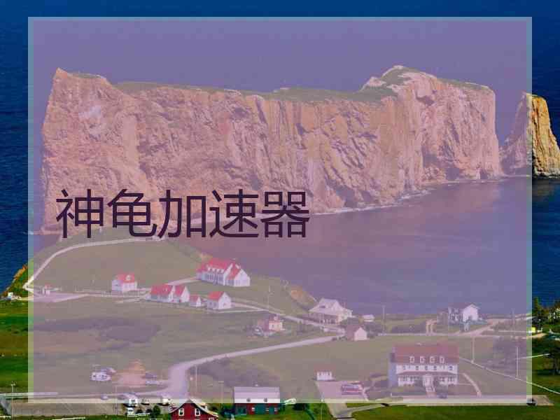神龟加速器