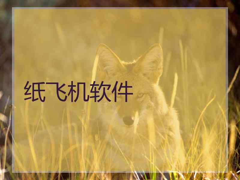 纸飞机软件