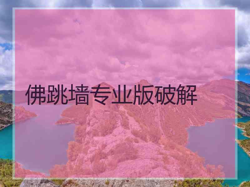 佛跳墙专业版破解