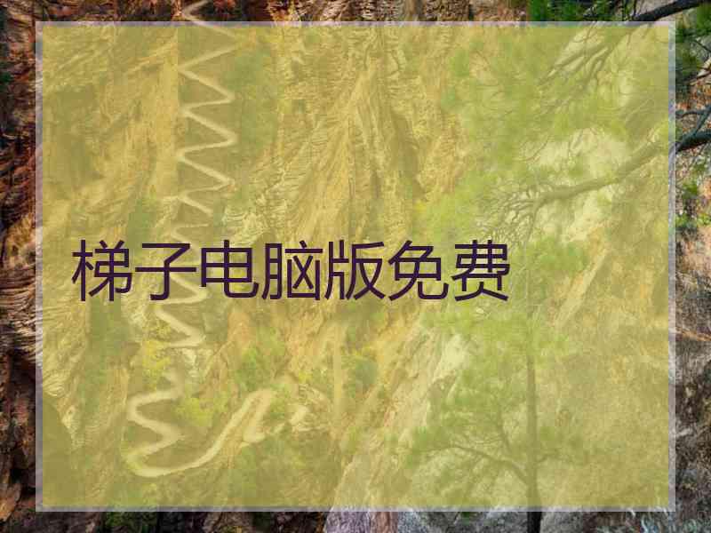 梯子电脑版免费