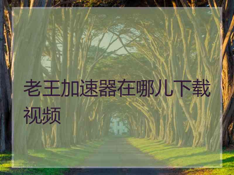老王加速器在哪儿下载视频