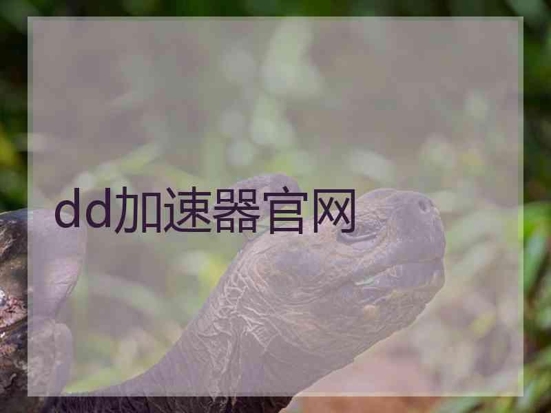 dd加速器官网