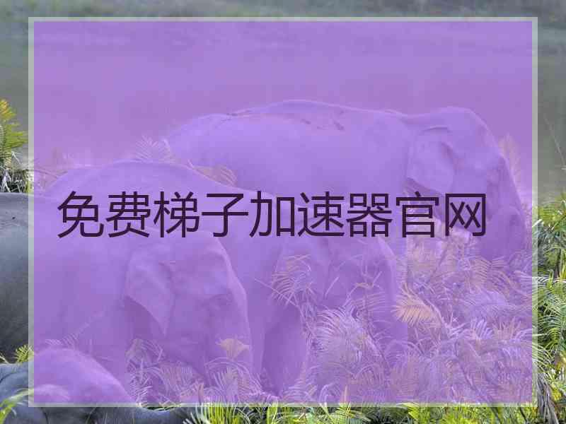 免费梯子加速器官网