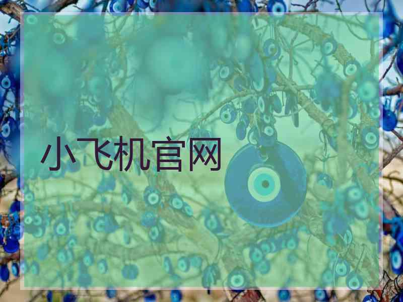 小飞机官网