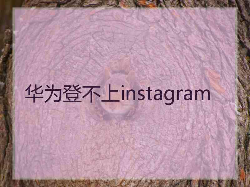 华为登不上instagram
