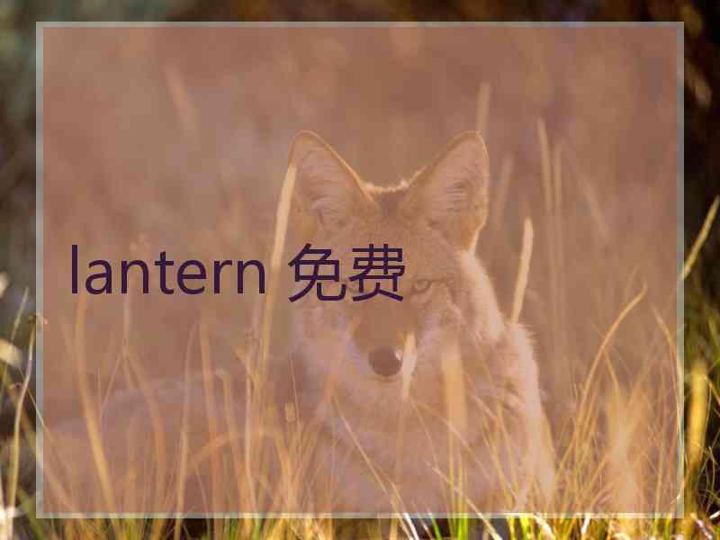 lantern 免费
