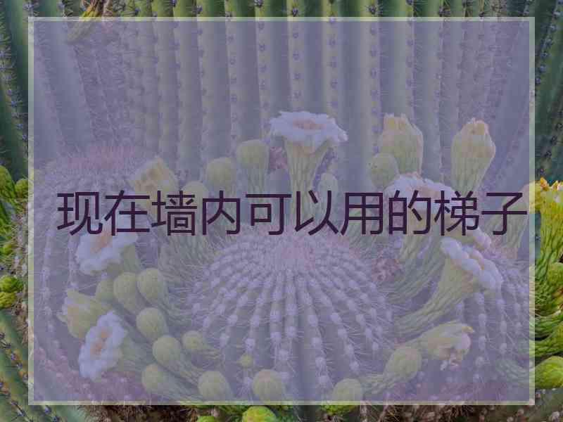 现在墙内可以用的梯子