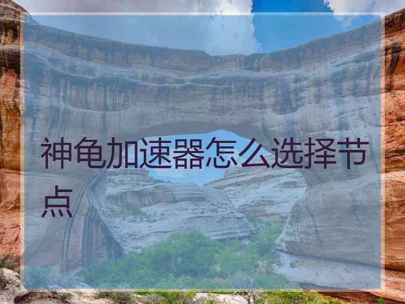 神龟加速器怎么选择节点
