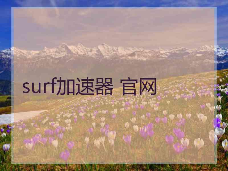 surf加速器 官网
