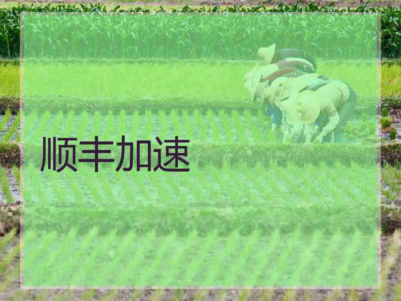 顺丰加速