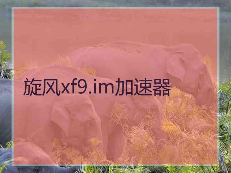旋风xf9.im加速器