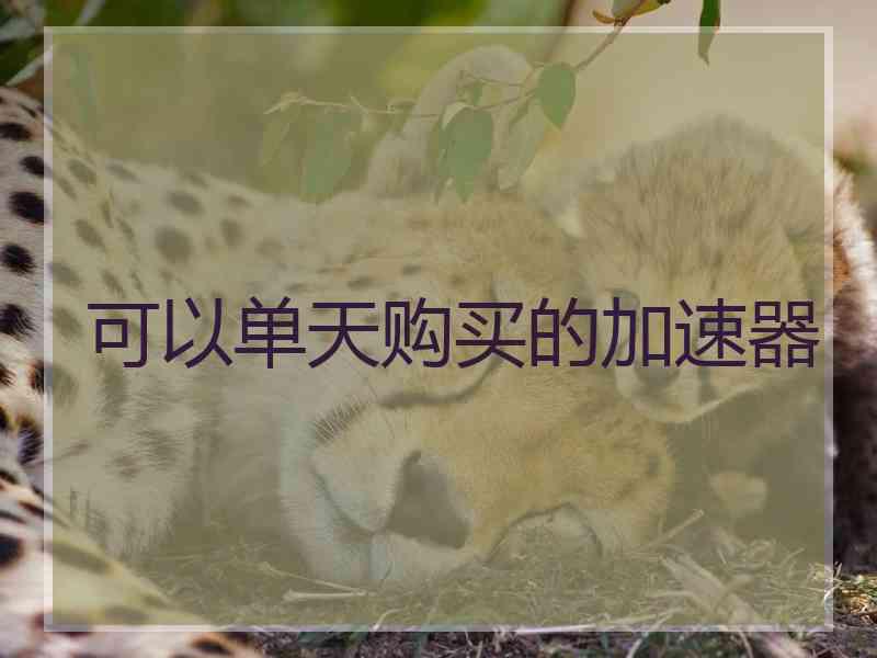 可以单天购买的加速器