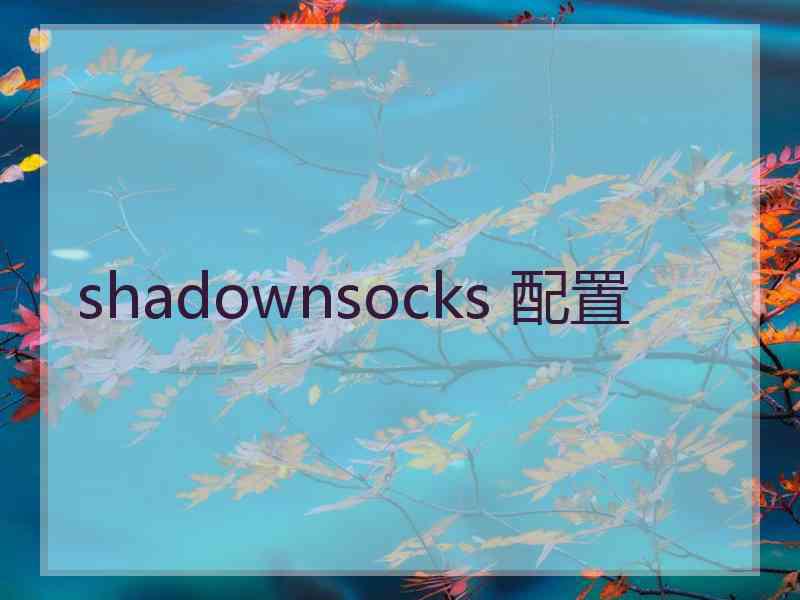 shadownsocks 配置
