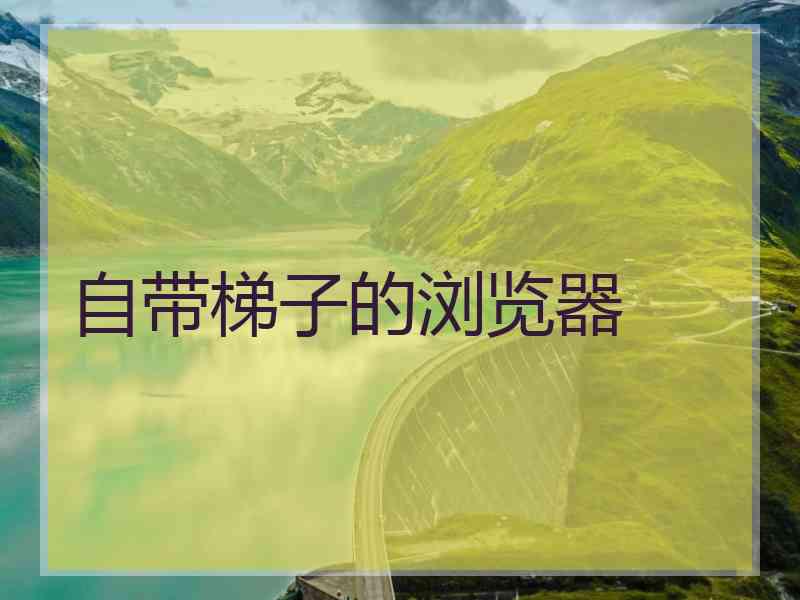 自带梯子的浏览器