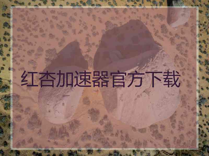 红杏加速器官方下载