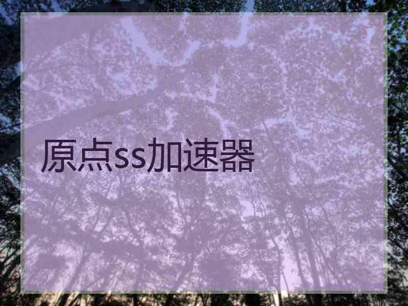 原点ss加速器