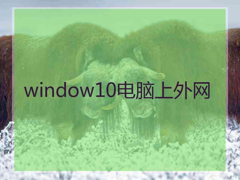 window10电脑上外网