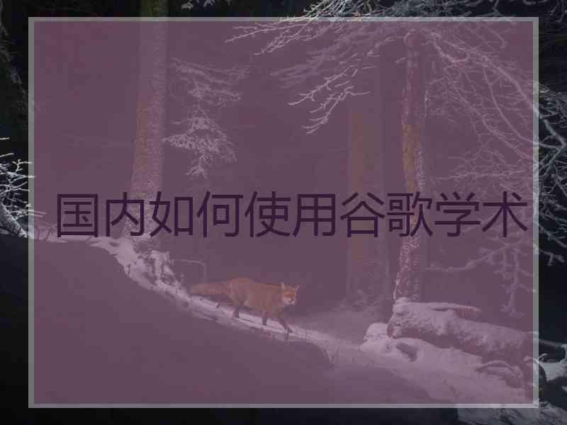 国内如何使用谷歌学术