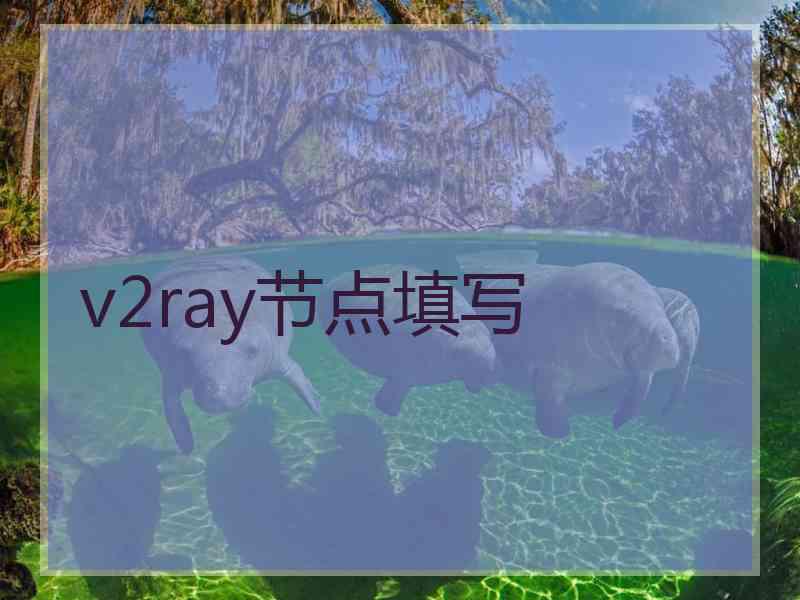 v2ray节点填写