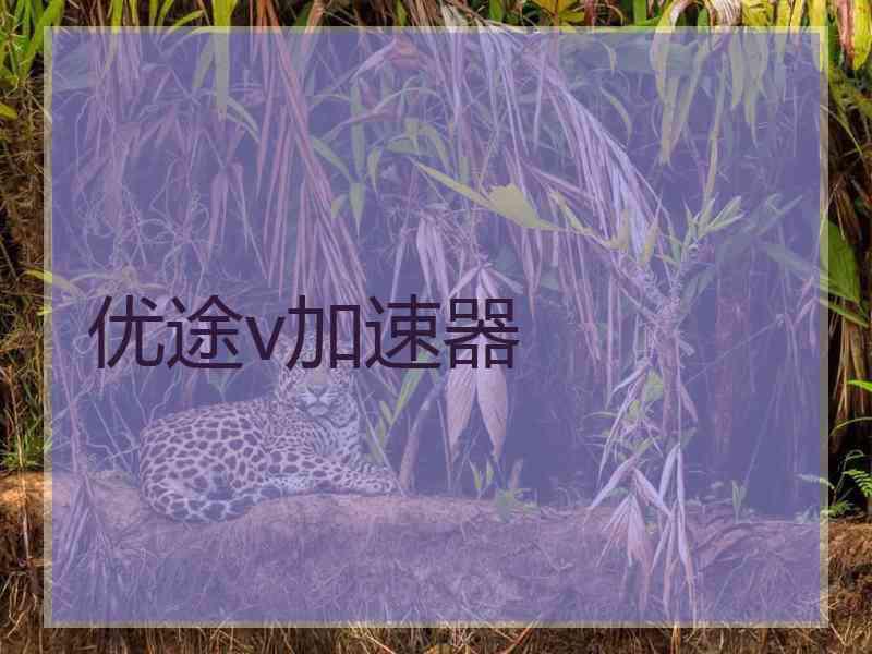 优途v加速器