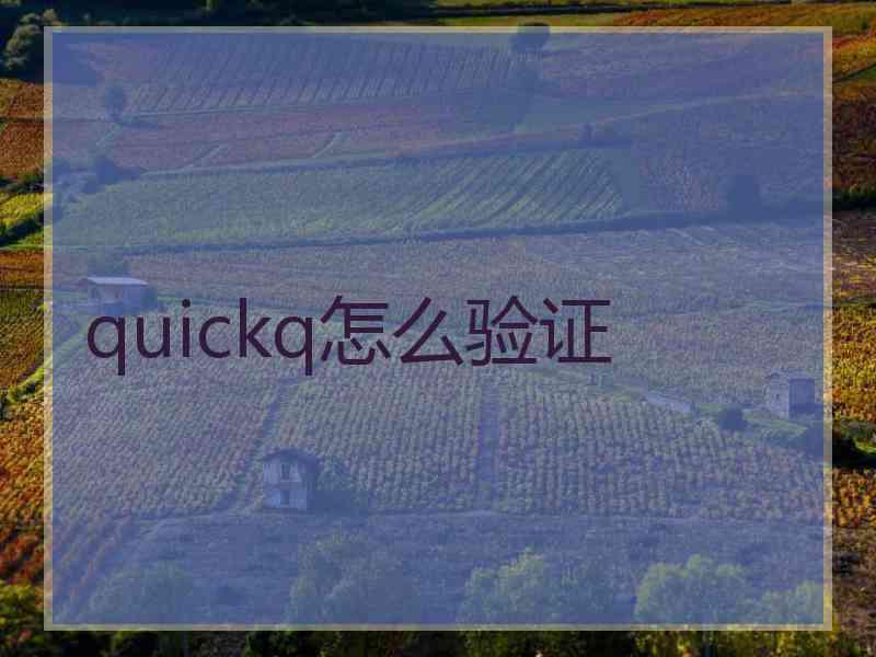 quickq怎么验证