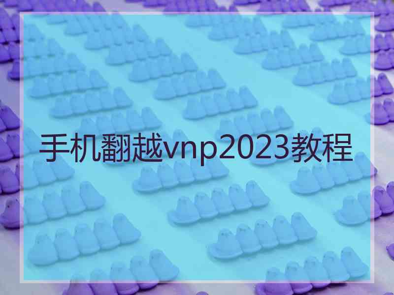手机翻越vnp2023教程