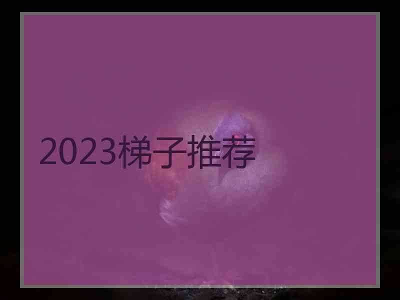 2023梯子推荐