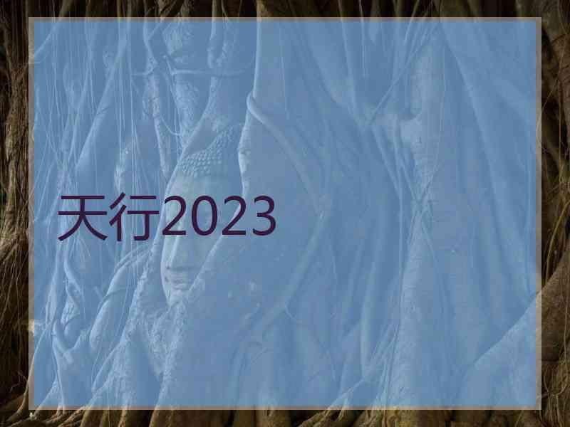天行2023