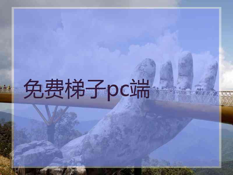 免费梯子pc端