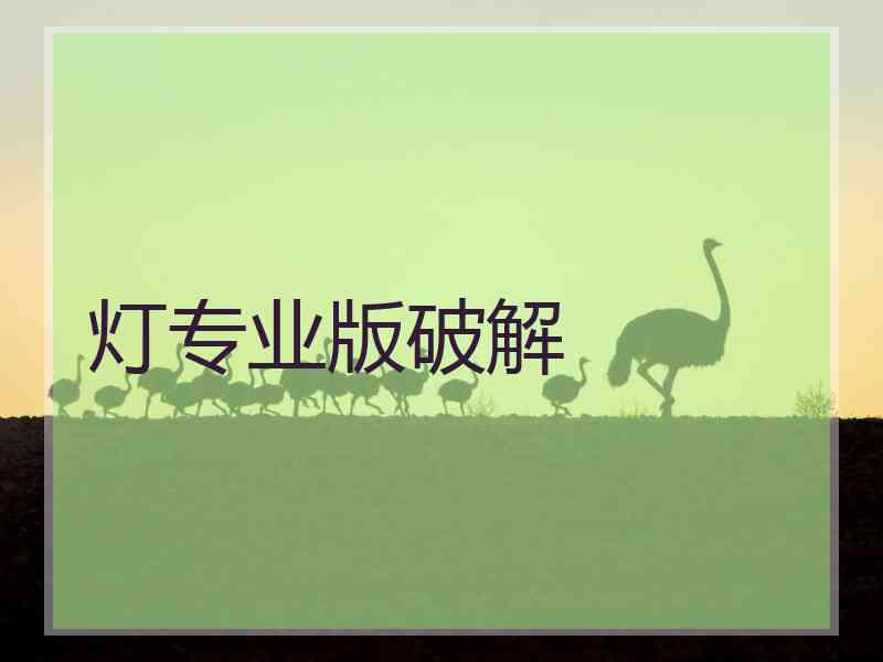 灯专业版破解