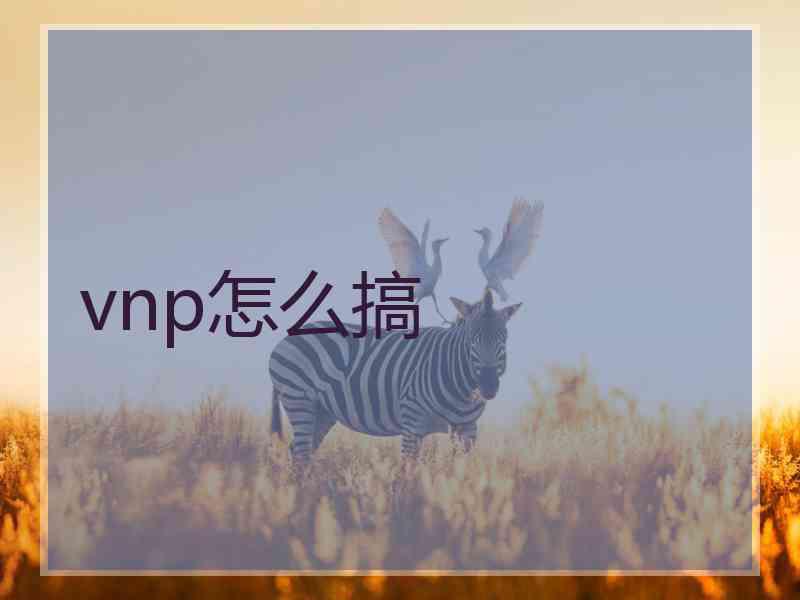 vnp怎么搞