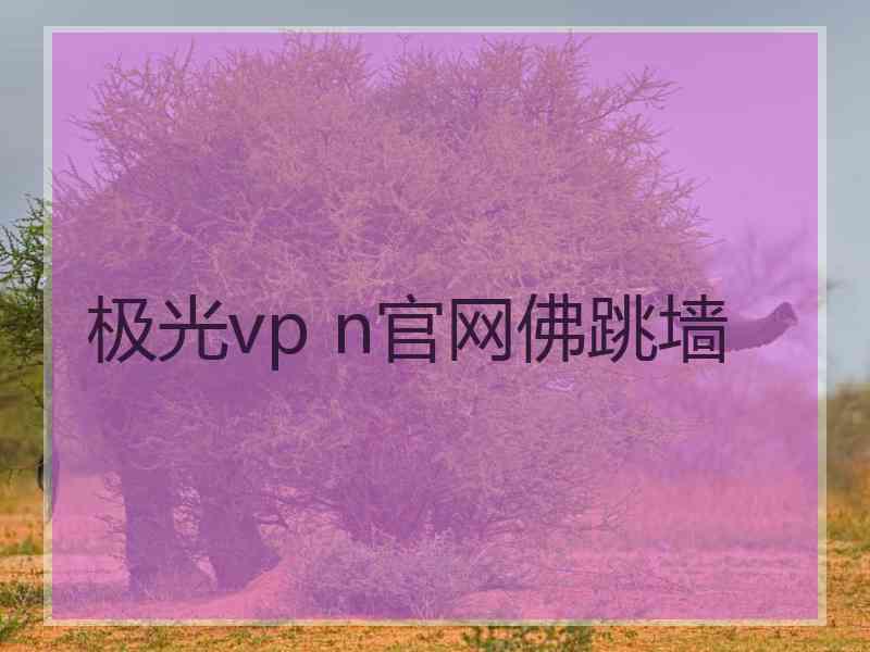 极光vp n官网佛跳墙